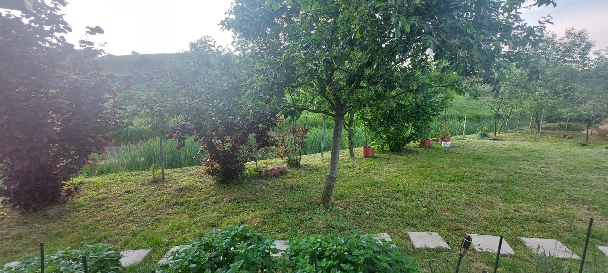 Kod Ane Apartment Belavici Екстериор снимка