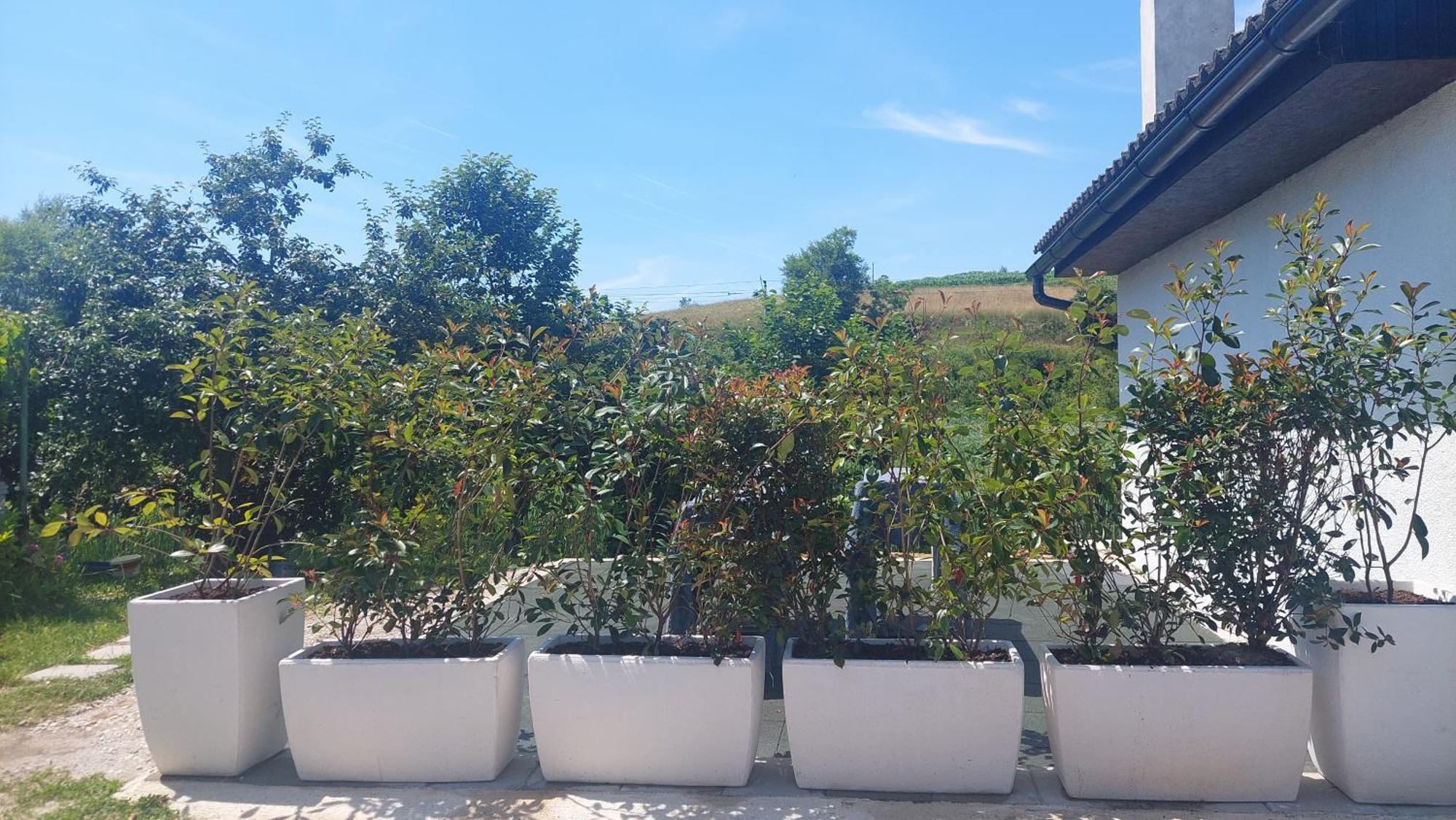 Kod Ane Apartment Belavici Екстериор снимка