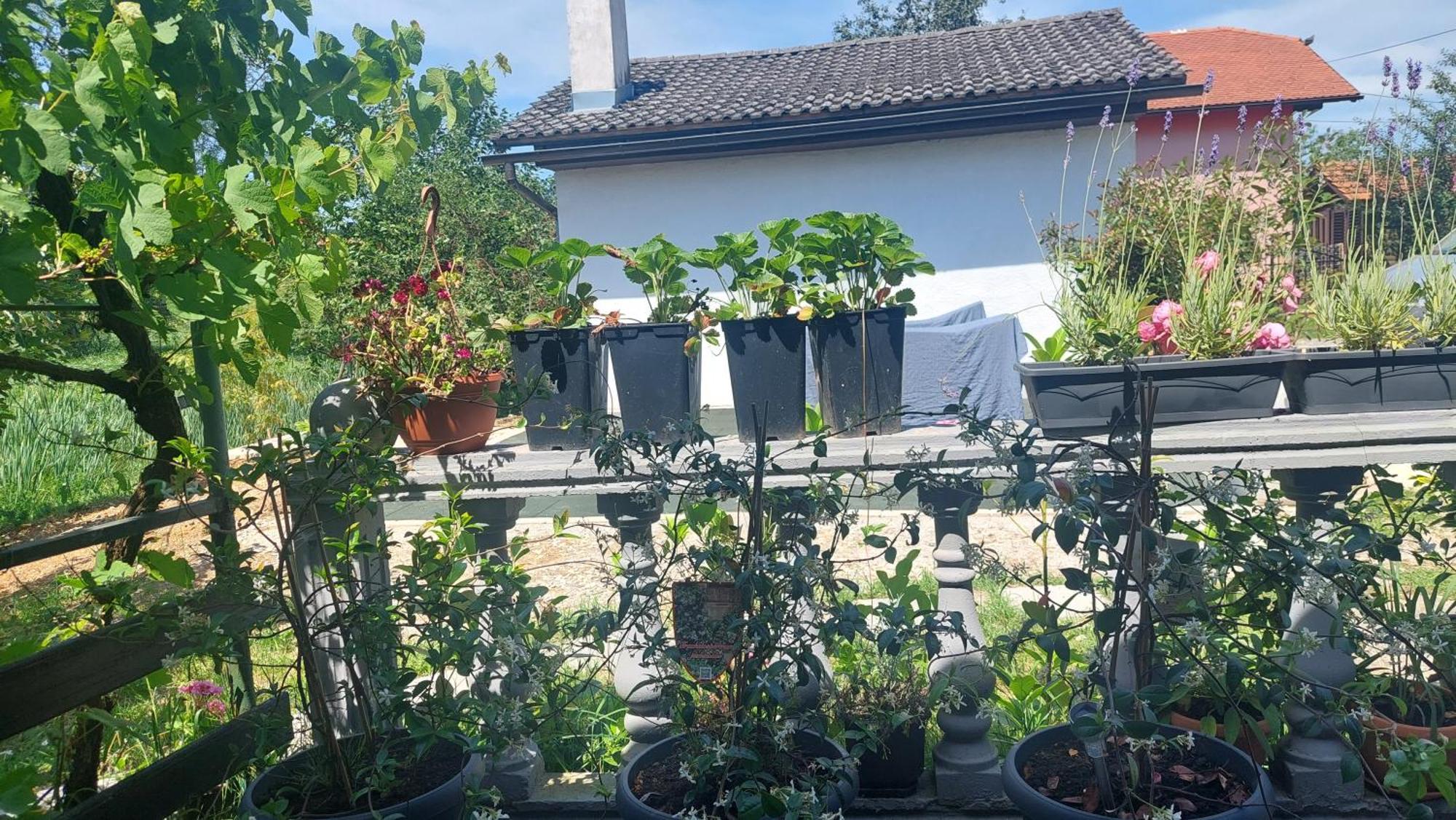 Kod Ane Apartment Belavici Екстериор снимка